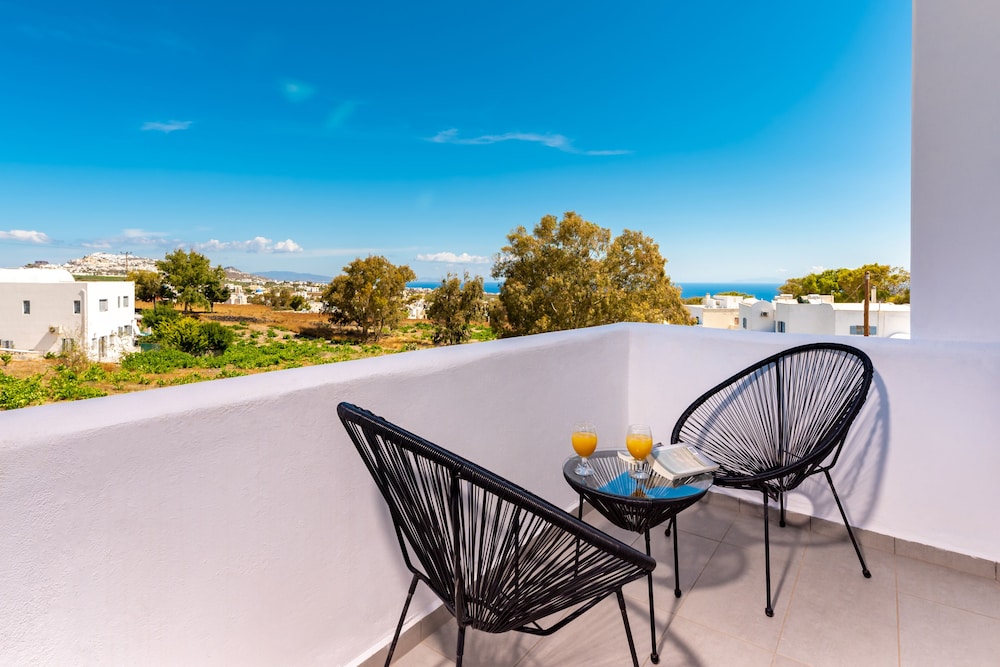 기본 이미지