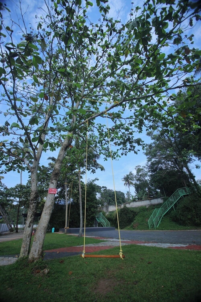 기본 이미지