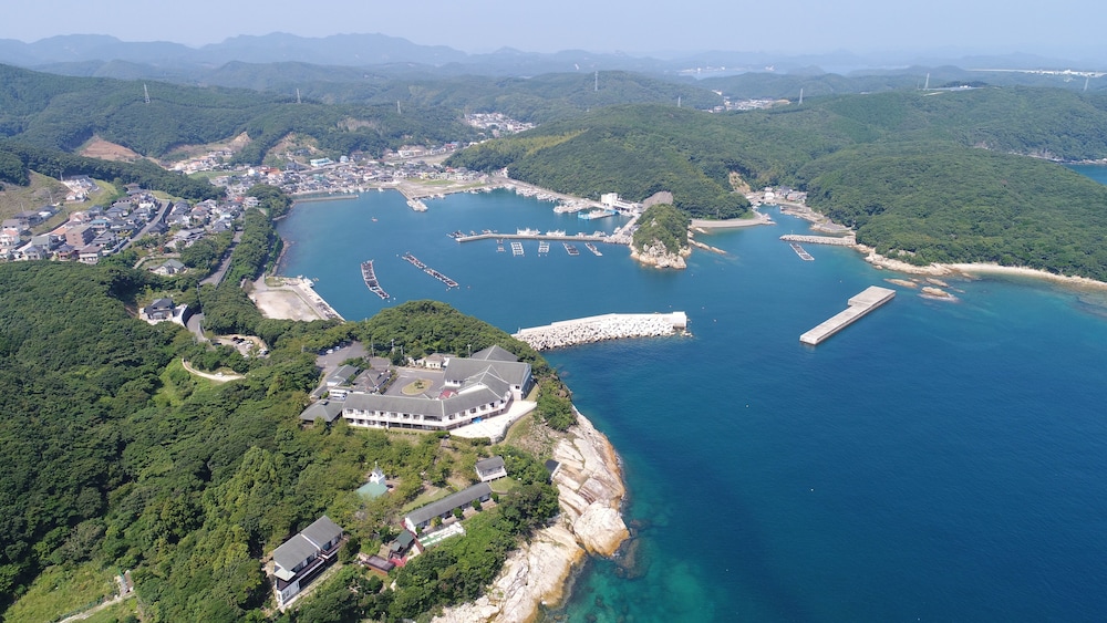 기본 이미지