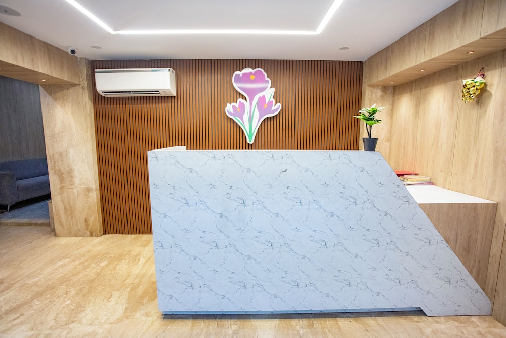 기본 이미지