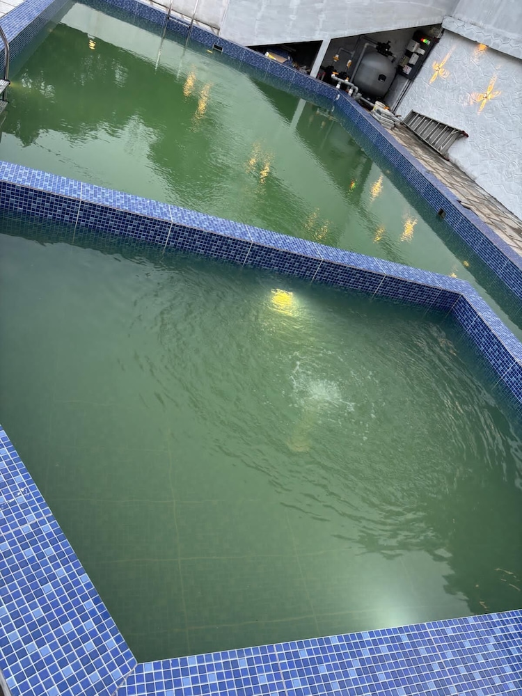 기본 이미지