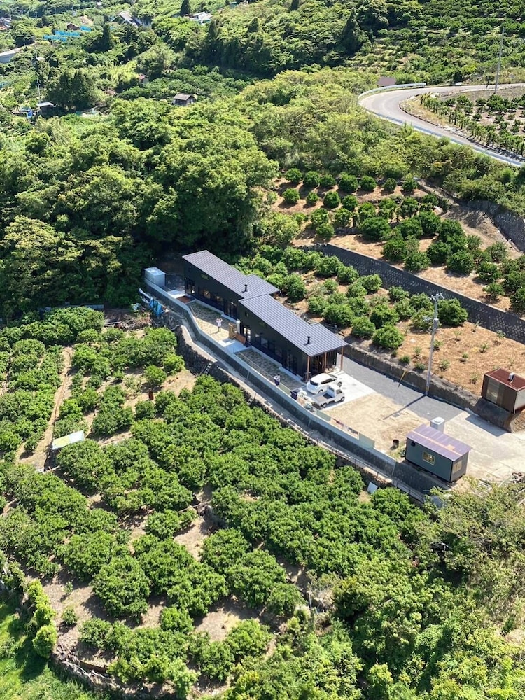 기본 이미지