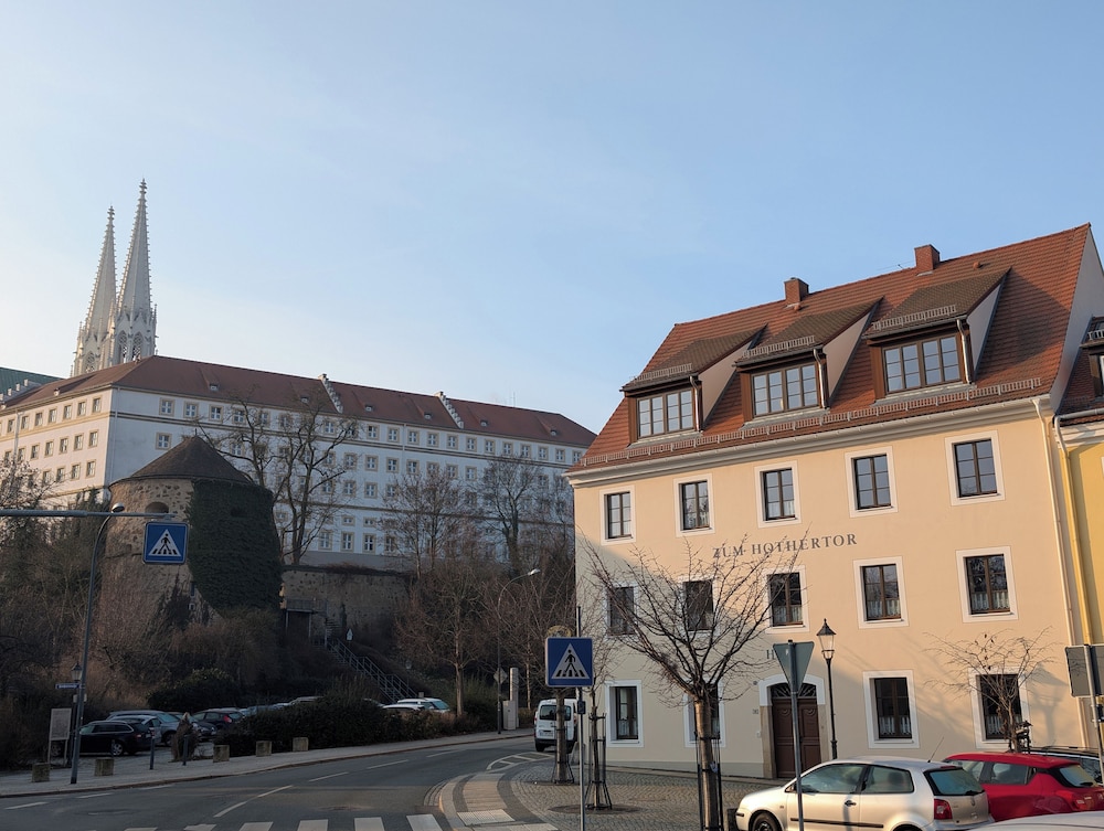 기본 이미지